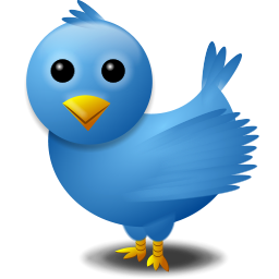 Highly educated twitter bird