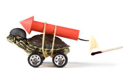 Accelerated Learning - Photo of Turtle with a Rocket on Its Back