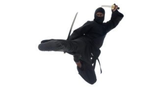 Photo of flying Ninja