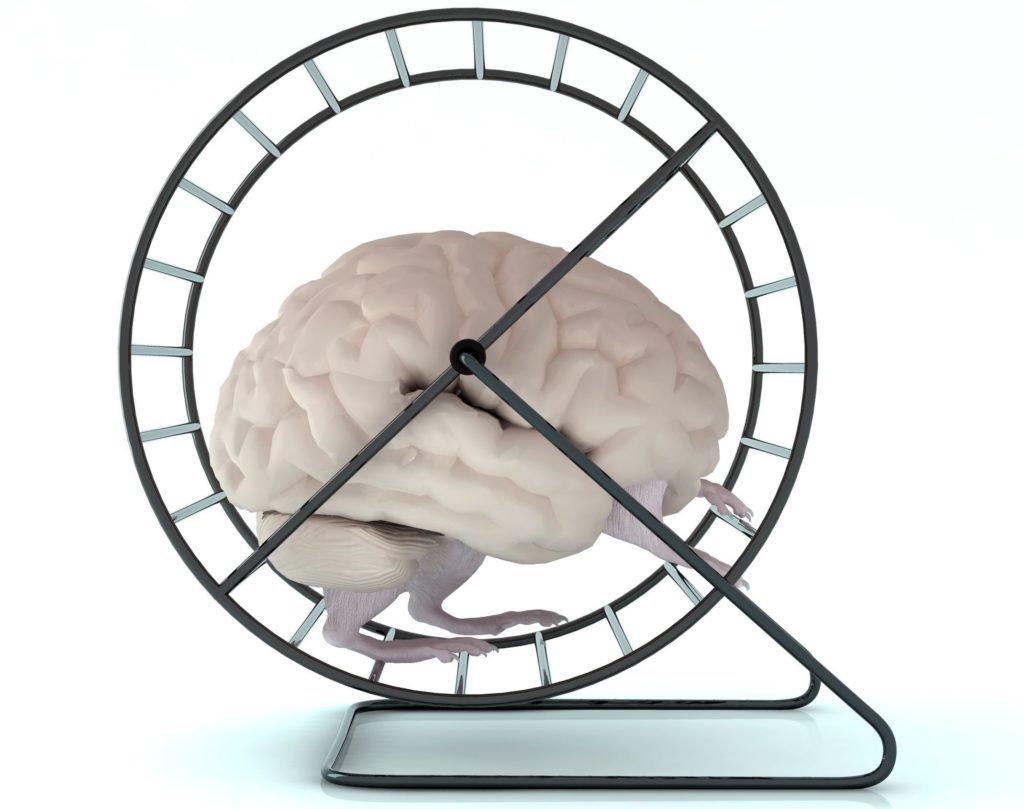 human brain with arms and legs in hamster wheel
